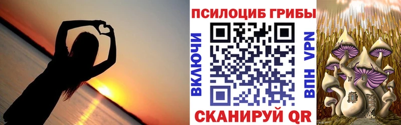 цена наркотик  Светлый  Псилоцибиновые грибы Psilocybe 